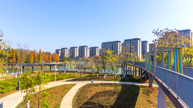 天空与树林