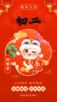 初二新年春节蛇年年俗插画海报