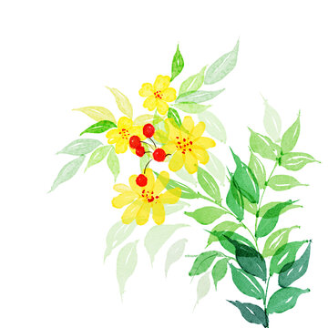 小清新水彩植物花朵