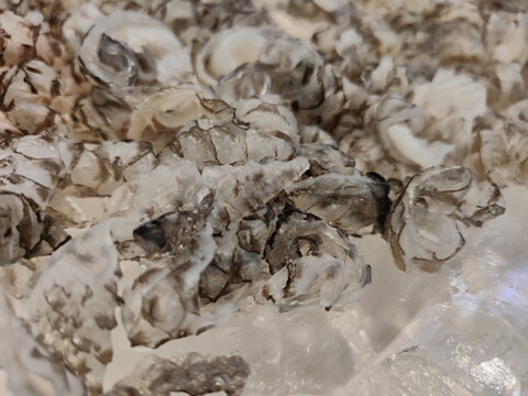 凉拌鱼皮