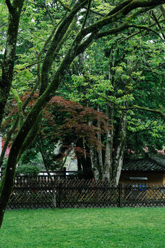 井冈山