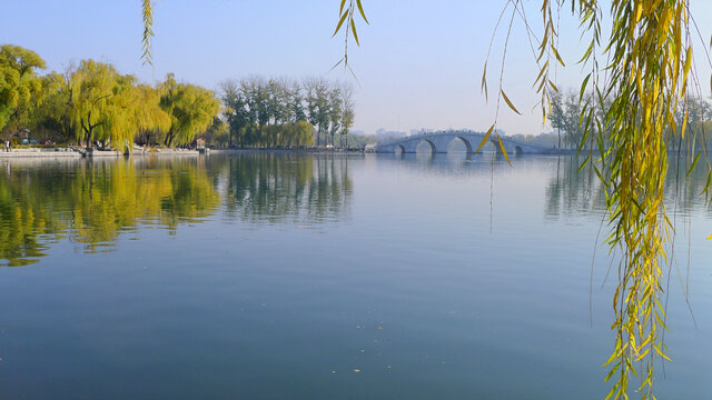 北京玉渊潭秋景秋色