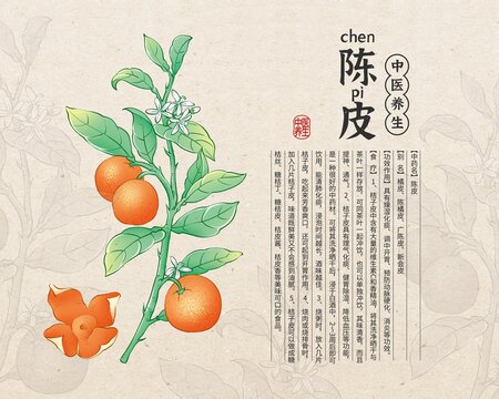 陈皮