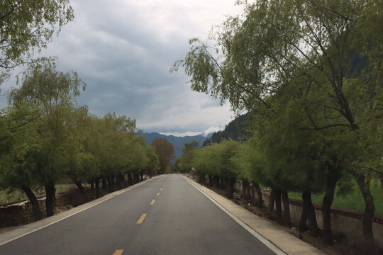 林荫道路
