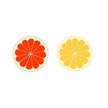 扁平风红黄西柚插画