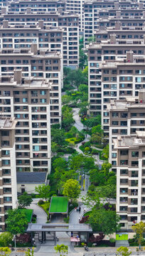 小区绿化