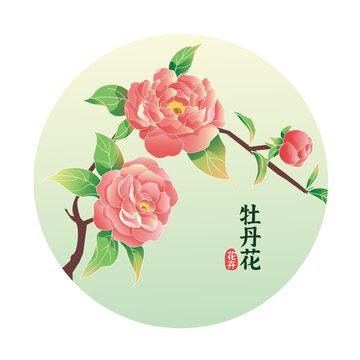 牡丹花插画包装花卉