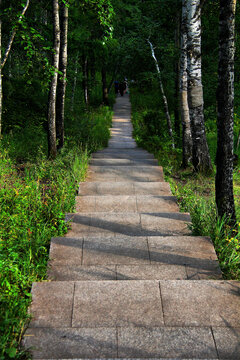 阿尔山天池登山路