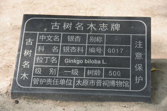 山西太原晋祠