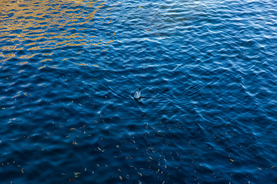 洱海风光