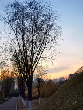 公园朝霞