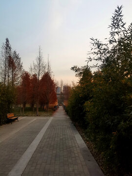 公园健康跑道