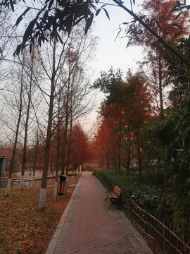 公园健康跑道