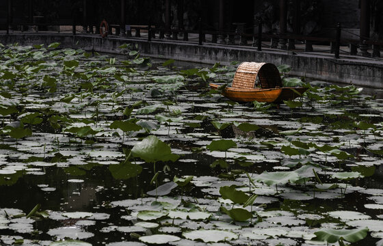 荷塘小船