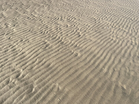 赶海