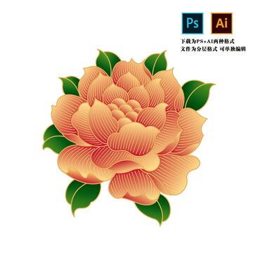 牡丹花国花