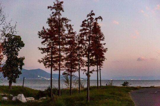 洱海风光