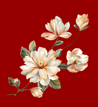 手绘牡丹花