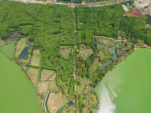 航拍昆明滇池捞鱼河湿地公园景观