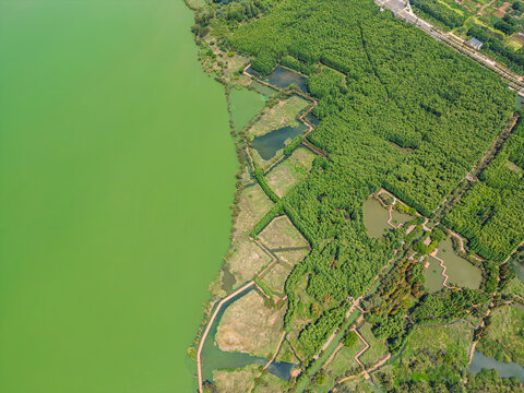 航拍昆明滇池捞鱼河湿地公园景观