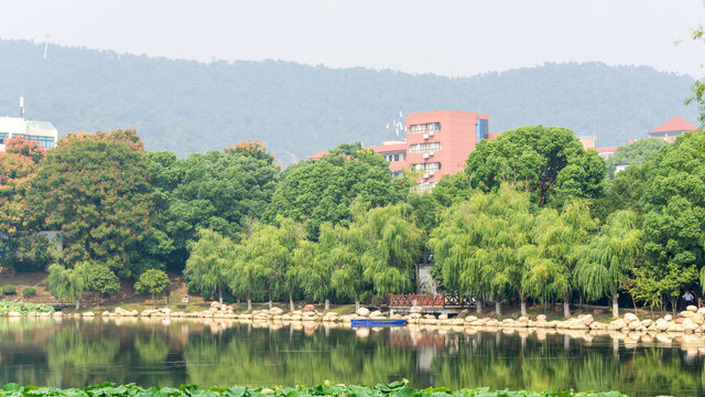 桃子湖风光