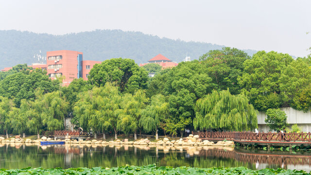 桃子湖风光
