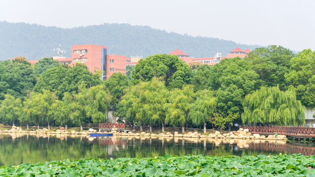 桃子湖风光