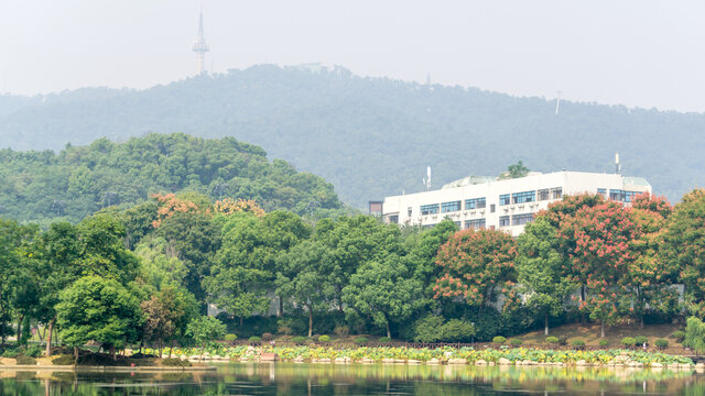 桃子湖风光