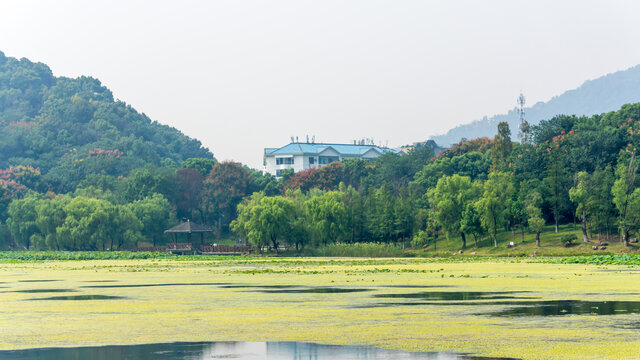桃子湖风光