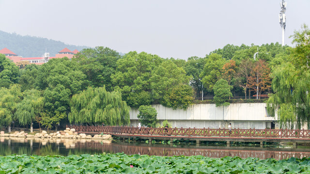 桃子湖风光