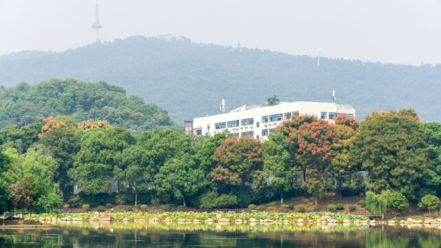 桃子湖风光