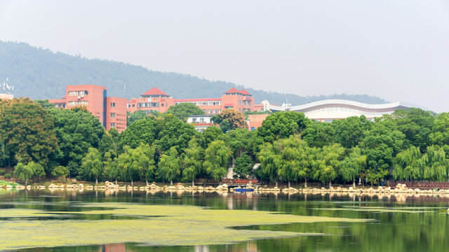 桃子湖风光