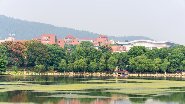 桃子湖风景