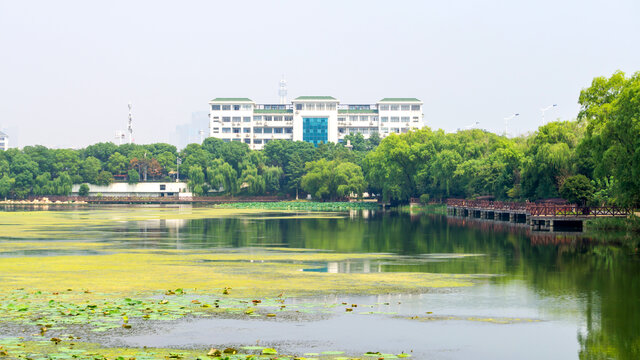 桃子湖风景