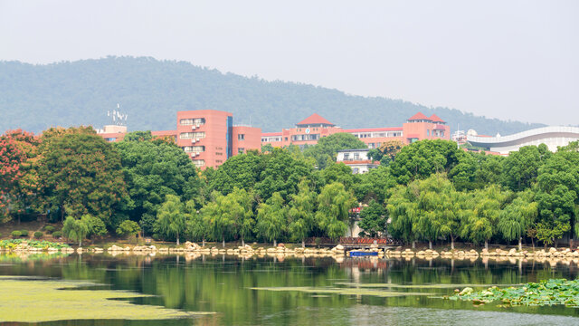 桃子湖风景