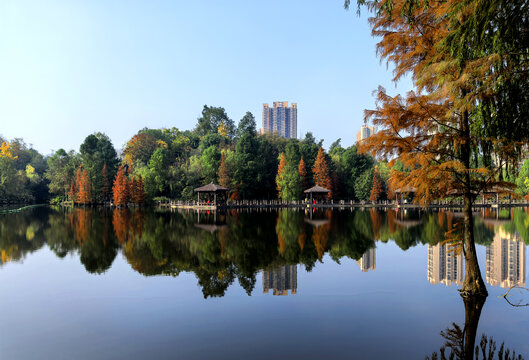 观音塘湿地公园