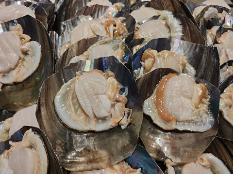 海鲜带子特写