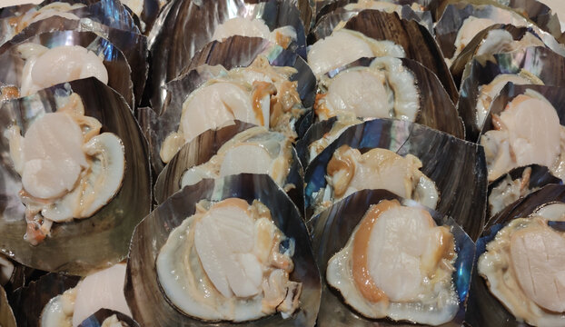 海鲜新鲜带子