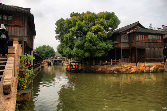 乌镇东栅水乡风景