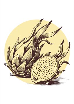 火龙果