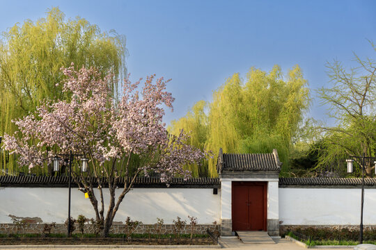 春色满园