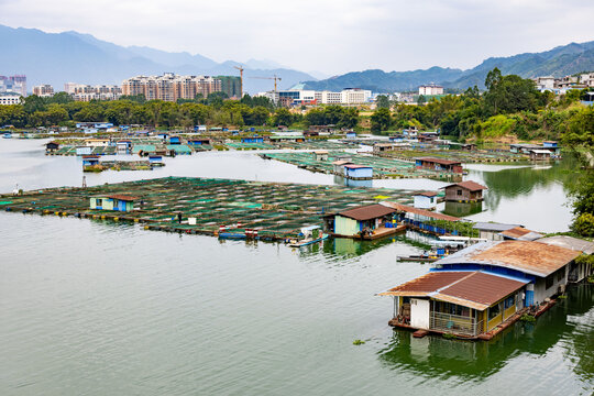 江河网箱养鱼基地