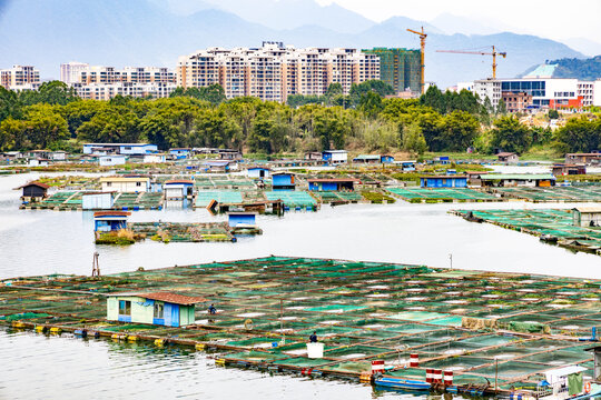 江河网箱养鱼基地