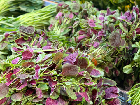 超市货架上的新鲜红苋菜