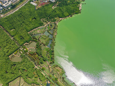 航拍昆明滇池捞鱼河湿地公园景观