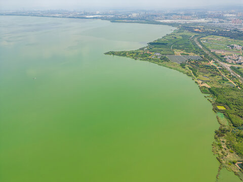 航拍昆明滇池捞鱼河湿地公园景观