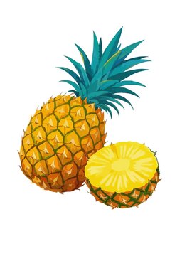 菠萝插画