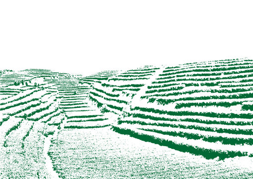 茶山背景底纹素描版画矢量图包装设计素材