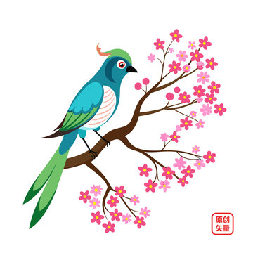 矢量插图动物简约枝头美丽小鸟