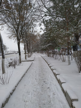 第一场雪